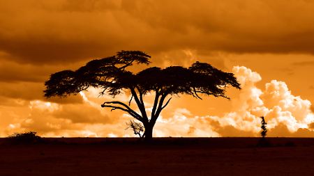 Bilderbuch-Panorama: Szenen wie diese in Kenia dürften dazu beigetragen haben, dass Afrika für Ernest Hemingway zum Kontinent seiner Sehnsüchte wurde.