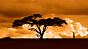 Bilderbuch-Panorama: Szenen wie diese in Kenia dürften dazu beigetragen haben, dass Afrika für Ernest Hemingway zum Kontinent seiner Sehnsüchte wurde.