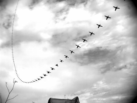 Fotomontage: Der Sturzflug des Kolibris. 