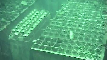Videobilder aus Reaktor 4: Der Katastrophenmeiler Fukushima.
