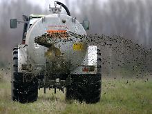 Gülle könnte die Quelle für die EHEC-Erkrankungen sein - bestätigt ist das allerdings nicht.