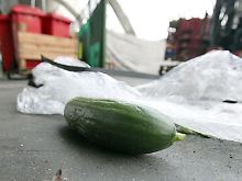 Eine Erklärung: Die Gurken sollen auf den Boden gefallen und dabei verseucht worden sein.