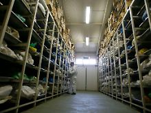 Noch immer arbeiten Forensiker an der Aufklärung des Massakers von Srebrenica.