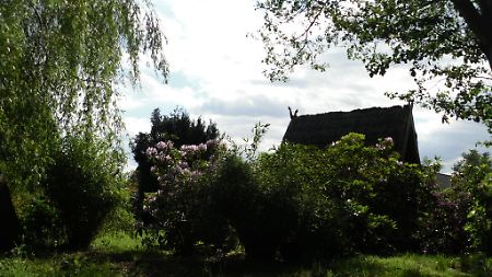 Von den Giebeln der Spreewaldhäuser schaut der Schlangenkönig ins Land.