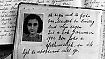 Umgestürzte Anne-Frank-Kastanie : Berlin bekommt ein Stück ab