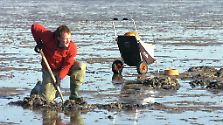 UNESCO-Weltnaturerbe: Das Wattenmeer 