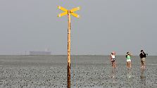 UNESCO-Weltnaturerbe: Das Wattenmeer 