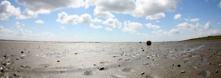 Das Wattenmeer ist das erste Weltnaturerbe Deutschlands.