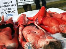 Tierschützer vomn PETA demonstrieren gegen die Robbenjagd.