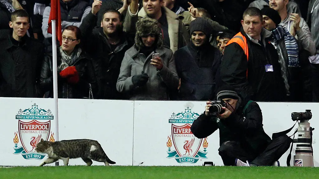 2012-02-06T204410Z-01-PNN12-RTRMDNP-3-SOCCER-ENGLAND-JPG4520762594393856048