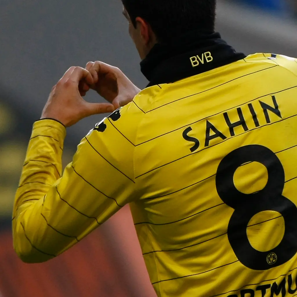 Sahin-Herz