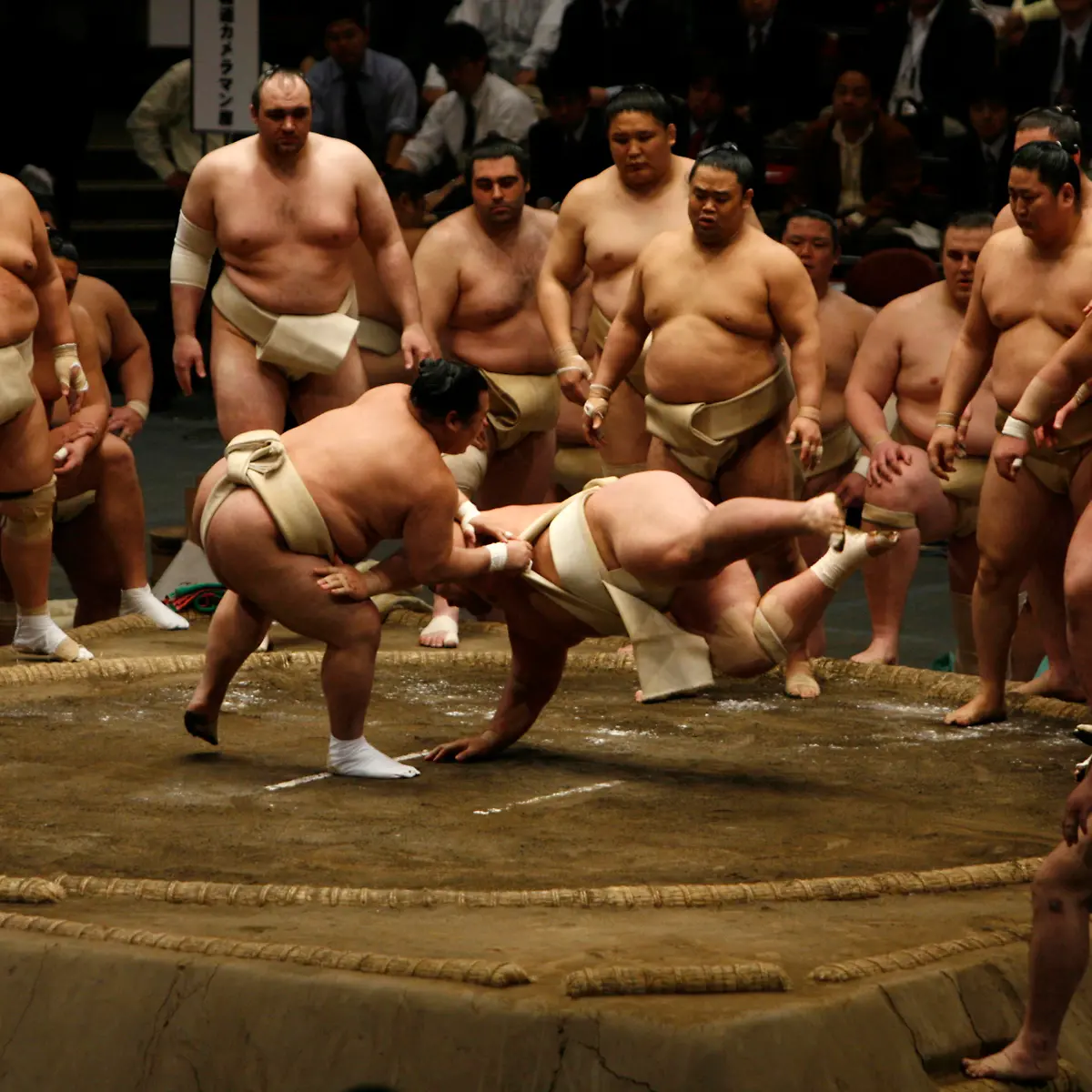 sumo2