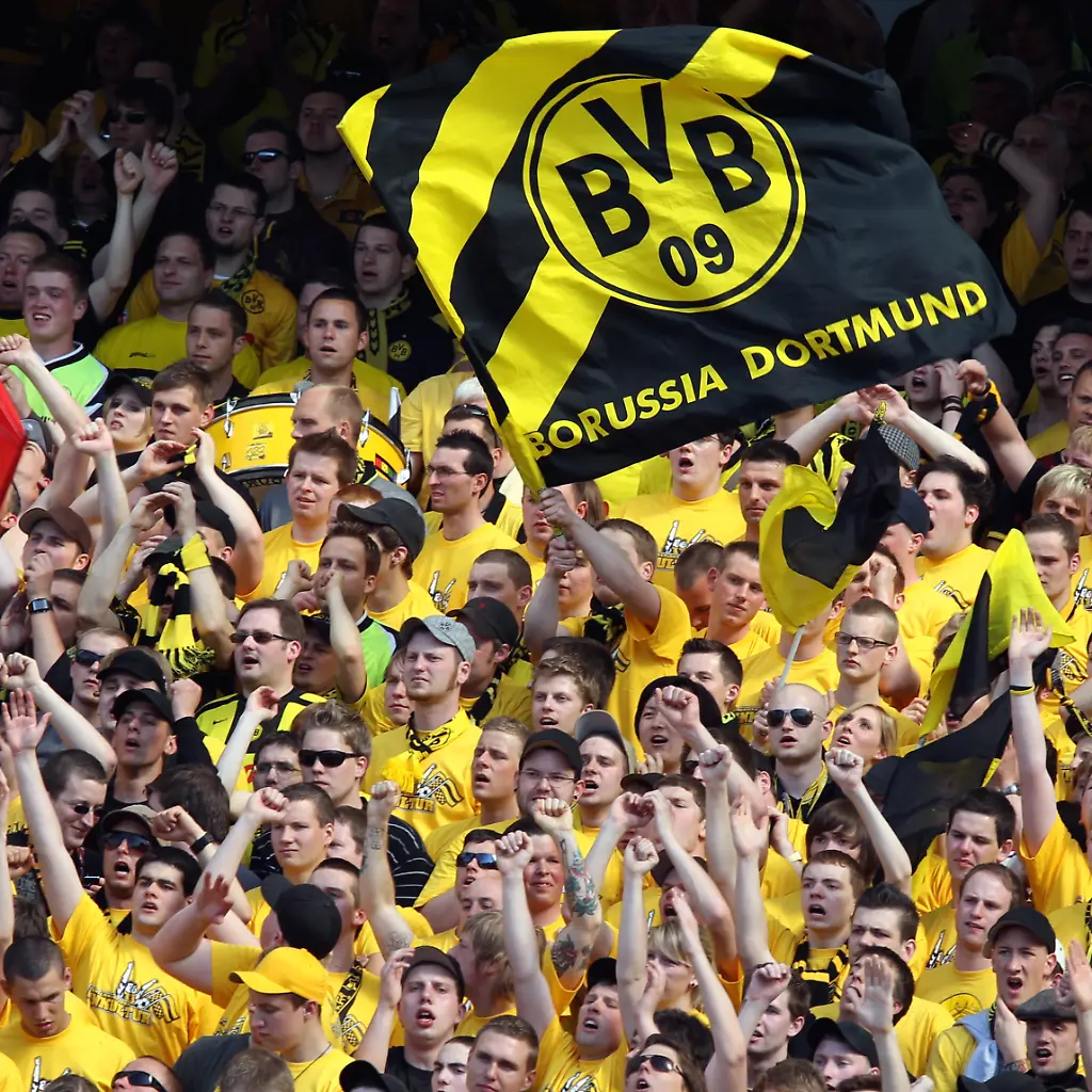 bvb