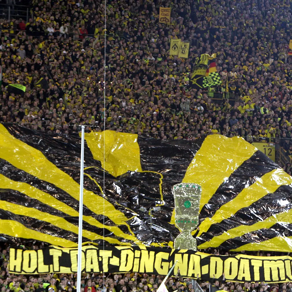 bvb