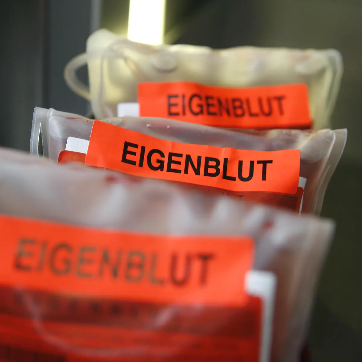 eigenblut