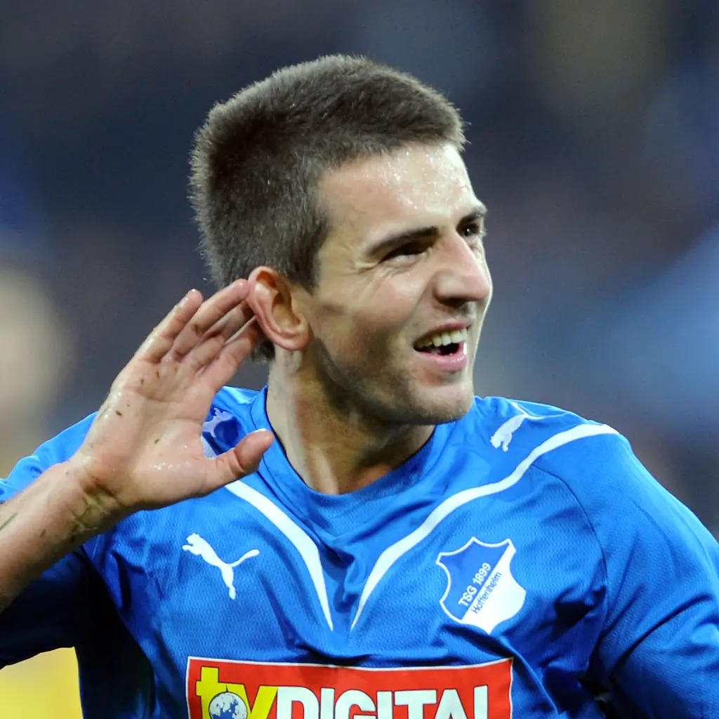 Ibisevic