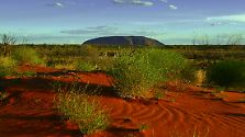 Korallenriffe, Koalas und krasses Klima: Australien