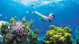 Korallenriffe, Koalas und krasses Klima: Australien