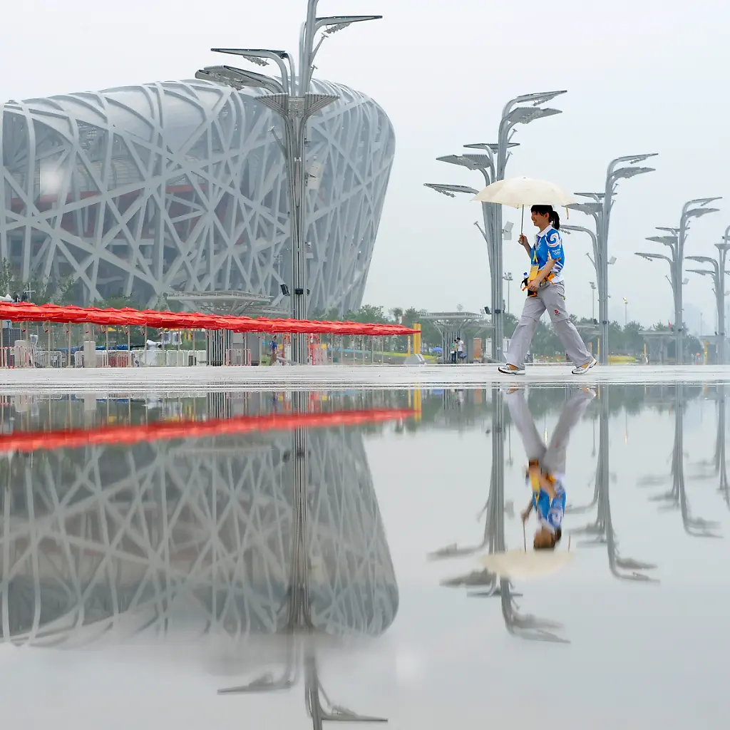 vogelnest2009