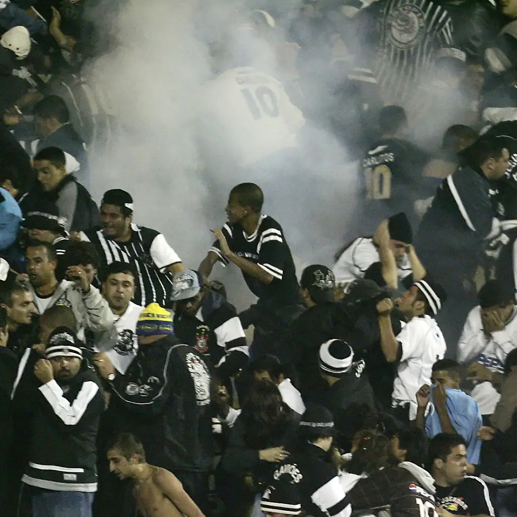 brasilienfans1