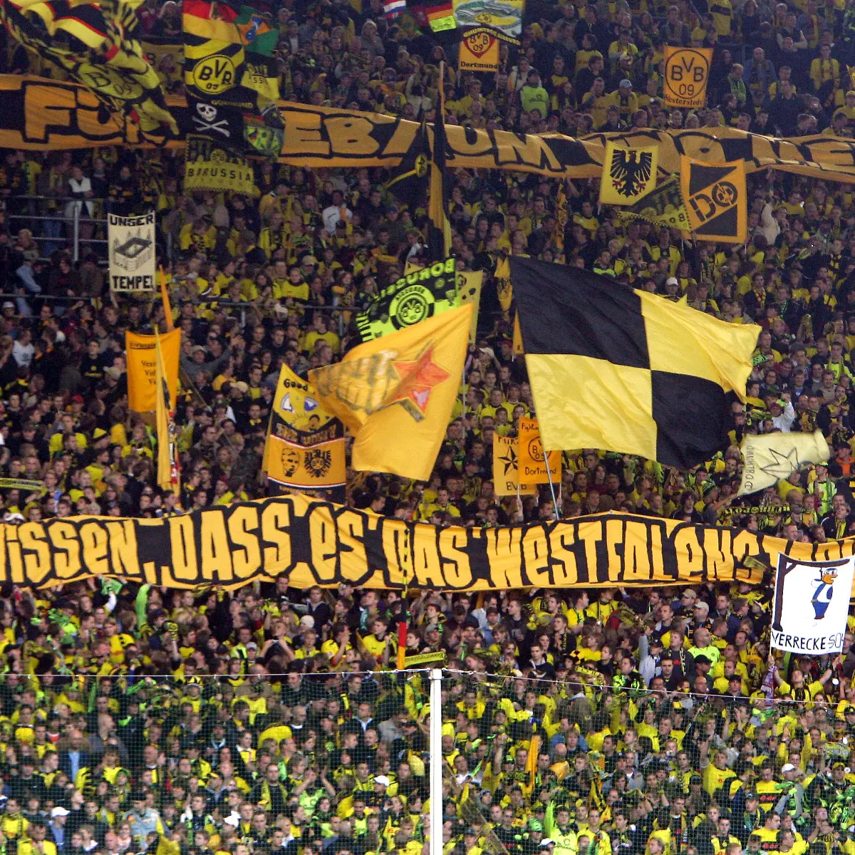 bvb