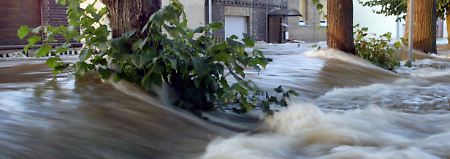 Wittenberg im August 2002: Die Elbe fließt durch den Stadtteil Pratau.
