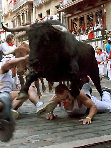 Fiesta San Fermin in Pamplona: Wie schön ist es, ein "richtiger" Mann zu sein.