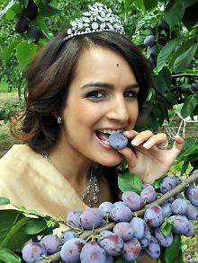 Die Bühler Zwetschgenkönigin Francesca Metzinger genießt und wirbt für die Qualität der Früchte in Baden.