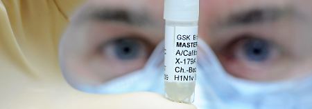 In den Pharmaunternehmen wird auf Hochtouren an einem Impfstoff gegen den H1N1-Virus gearbeitet.