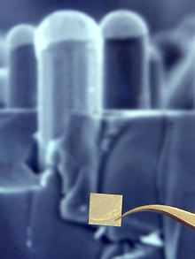 Die Nanotechnologie gilt als Zukunftswissenschaft mit neuen Forschungsansätzen. Sie hat allerdings auch ihre Kehrseite.