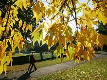 Der kalendarische Herbstbeginn ist erst gut drei Wochen nach dem meteorologischen.