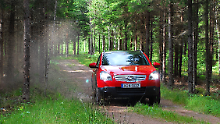 In den schwedischen Wäldern konnte der Japaner seine durchaus vorhandenen Offroad-Qualitäten unter Beweis stellen.
