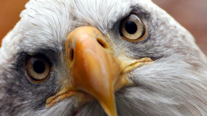 Strenger Blick: Die jüngsten BIP-Daten finden auf dem Parkett keine Gnade. 