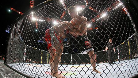 Beim "Ultimate Fighting" sind den Kämpfern nur wenig Grenzen gesetzt.