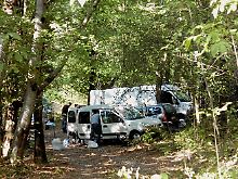 Die Polizei untersucht ein Waldstück, in dem ein Waffenlager entdeckt wurde.
