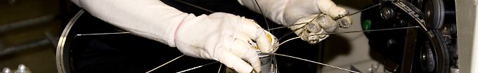 Tausende Drahtesel pro Tag: Deutschlands größte Fahrradfabrik