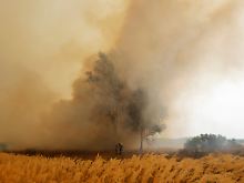 2010 war das heißeste Jahr seit Beginn der Wetteraufzeichnungen - heißer noch als der "Jahrhundertsommer" von 2003. Im Juli 2010 starben in Moskau 5000 Menschen mehr als im Vorjahresmonat.