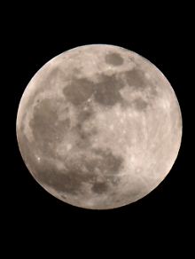 Ein Umlauf des Mondes um die Erde dauert durchschnittlich ungefähr 29,5 Tage. Vollmond ist der Zeitpunkt, zu dem sich Sonne und Mond gegenüberstehen.