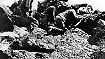 3. Die Indianer sterben an Krankheiten, die aus Europa und Afrika eingeschleppt werden, sie sterben in Kriegen, durch Vertreibung und Massaker. (Das Bild zeigt US-Soldaten im Kampf gegen Indianer kurz nach dem Bürgerkrieg.)