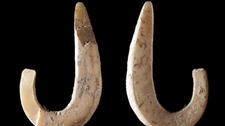 Angelhaken, der rund 11.000 Jahre vor Christi aus einer Muschelschale geschnitzt wurde. 