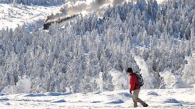 Mit Volldampf durch den Winterwald: Der Traditionszug der Harzer Schmalspurbahn fährt von Wernigerode auf den nahen, 1141 Meter hohen Brocken. 