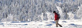 Mit Volldampf durch den Winterwald: Der Traditionszug der Harzer Schmalspurbahn fährt von Wernigerode auf den nahen, 1141 Meter hohen Brocken. 