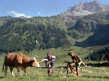 ... oder sportlich Mountainbiken: Radfahren ist im Trend.