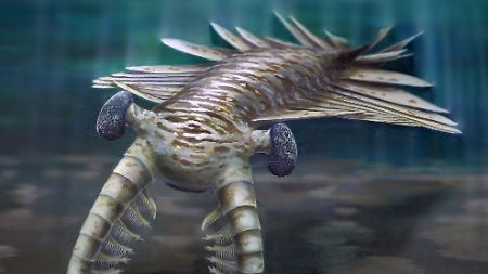 Die Illustration zeigt, wie das furchterregende Raubtier Anomalocaris mit den langen Stielaugen ausgesehen haben könnte.