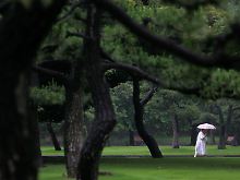 Sattes Grün: Park in Tokio während der Regenzeit.
