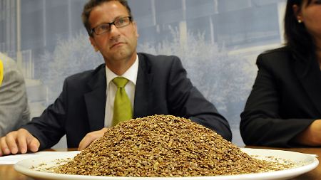 Der baden-württembergische Landwirtschaftsminister Hauk sitzt  während einer Pressekonferenz hinter einem mit Leinsamen bedeckten Teller.