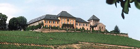 Blick auf die Weinberge und Schloss Johannisberg.