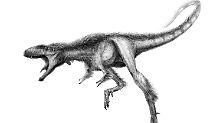 So könnte der kleine Raptorex vor 125 Millionen Jahren ausgesehen haben. 