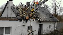 Arbeiter zersägen in Wuppertal einen Baum, der in das Dach eines Hauses gestürtzt ist.