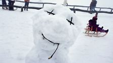 Winterfrust und Winterlust : Die halbe Welt versinkt im Schnee